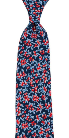 BACCARINO Navy blue cravate