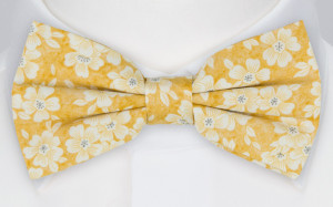 AFFECTIONATE YELLOW nœud papillon pré-noué