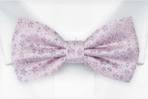 AUGURI Pale purple nœud papillon pré-noué