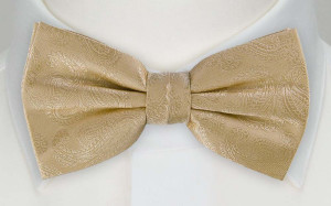 BRUD CHAMPAGNE nœud papillon
