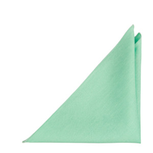 BASKETVEIL Mint pochette de costume