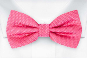 BIRDSEYE Hot pink nœud papillon