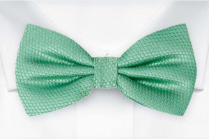 BIRDSEYE Seafoam turquoise nœud papillon pré-noué