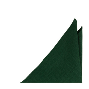 BITTERSWEET Dark green pochette de costume