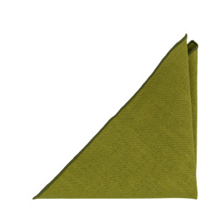 BITTERSWEET Green pochette de costume