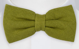 BITTERSWEET Green nœud papillon pré-noué