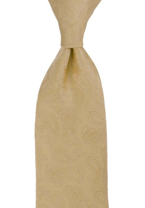 BRUD CHAMPAGNE cravate classique