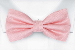 BRUDGUM Pale pink nœud papillon