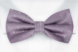 BRUDGUM Vintage purple nœud papillon