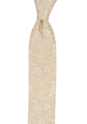 ENCHANTMENT CHAMPAGNE cravate pour enfant medium