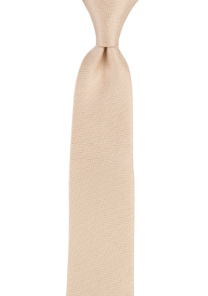 Espousal Champagne Pink cravate pour enfant medium