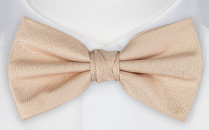 Espousal Champagne Pink nœud papillon pré-noué