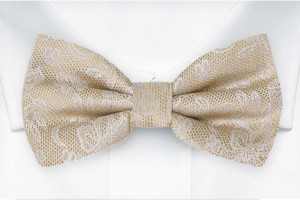 EVERAFTER Champagne gold nœud papillon pré-noué