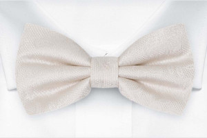 EVERAFTER Ivory nœud papillon pré-noué