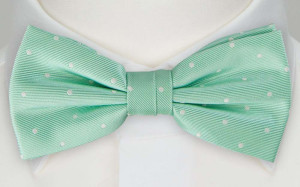 FESTLIG MINT nœud papillon pré-noué