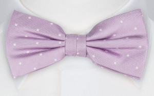 FESTLIG PURPLE nœud papillon pré-noué