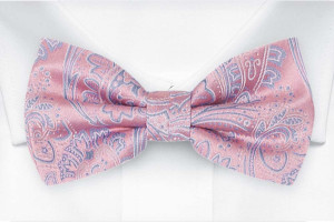 ILLUSTRIOUS Pink nœud papillon pré-noué