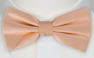 FIRA APRICOT nœud papillon