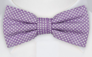 GILLA PURPLE nœud papillon