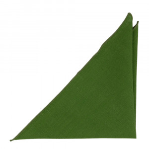 BASKETVEIL Green pochette de costume