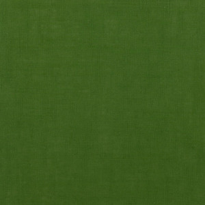 BASKETVEIL Green échantillon