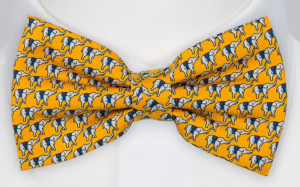 BOCCAGLIO Yellow nœud papillon pré-noué