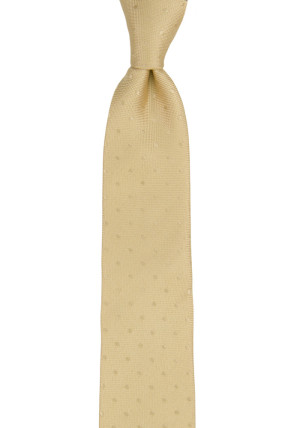 BRUDGUM CHAMPAGNE cravate slim