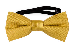 BRUDGUM Gold nœud papillon bébé