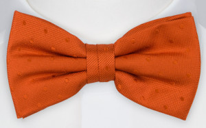 BRUDGUM Orange nœud papillon pré-noué