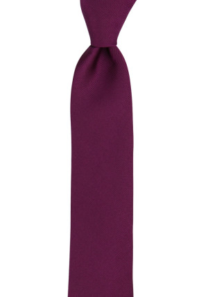 DIGGIDY AUBERGINE cravate slim