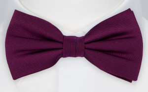 DIGGIDY AUBERGINE nœud papillon pré-noué