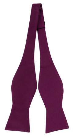 DIGGIDY AUBERGINE nœud papillon à nouer