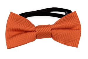 DRUMMEL Orange nœud papillon bébé
