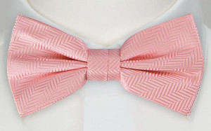 DRUMMEL Pastel pink nœud papillon pré-noué
