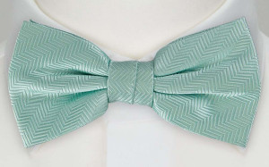 DRUMMEL Turquoise nœud papillon pré-noué