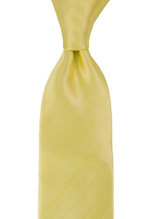 DRUMMEL Yellow cravate