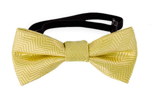 DRUMMEL Yellow nœud papillon bébé