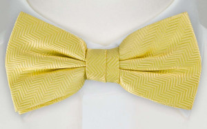 DRUMMEL Yellow nœud papillon