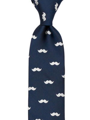 FLAVOURSAVER Blue cravate classique