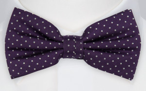 HAGELSTORM PURPLE nœud papillon pré-noué