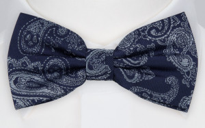 RAJRAJ BLUE nœud papillon
