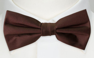 SOLID Brown nœud papillon