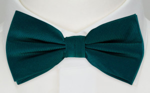SOLID Dark pine nœud papillon pour enfant