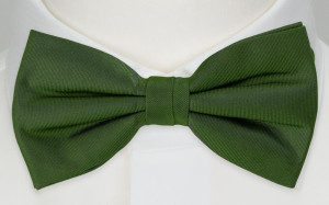 SOLID Green nœud papillon pour enfant