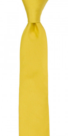 SOLID Lemon cravate enfant medium