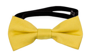 SOLID Lemon nœud papillon bébé
