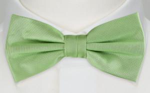 SOLID Light green nœud papillon pour enfant