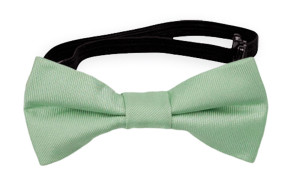 SOLID Pastel green nœud papillon bébé