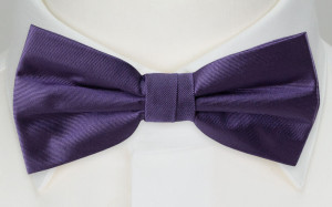 SOLID Purple nœud papillon enfant