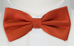 SOLID Rusty Orange nœud papillon enfant